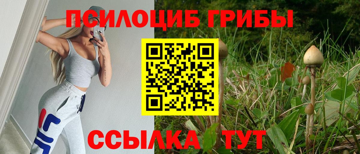 Галлюциногенные грибы мухоморы  Вход с VPN  Самара 